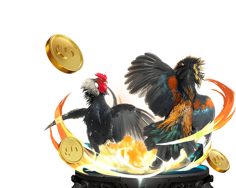 Hoàn Trả Hàng Ngày/Tuần Cực Hấp Dẫn dt88 casino