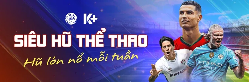 Hình ảnh tổng quan các loại hình thể thao đa dạng tại dt88 casino